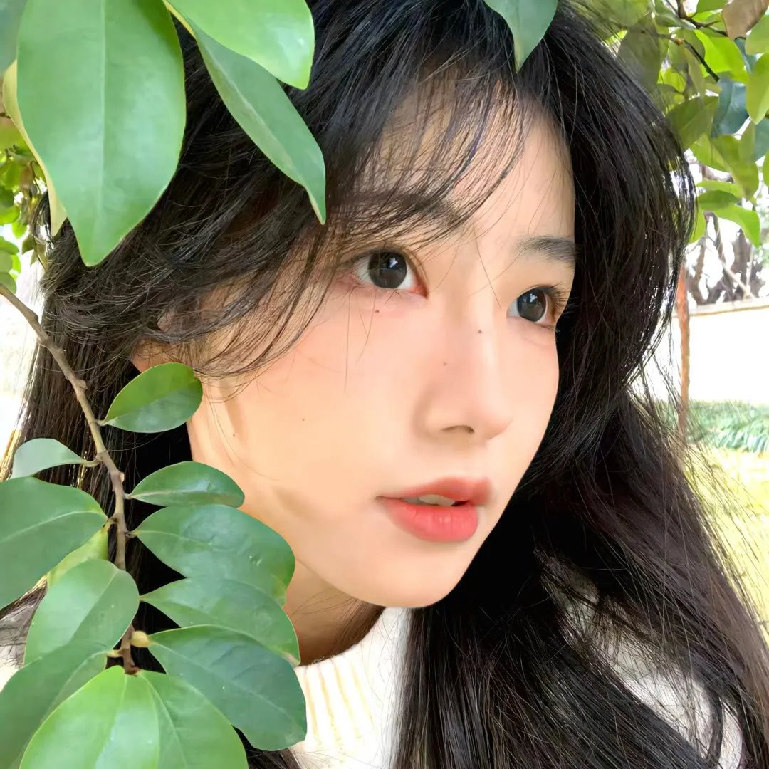 失眠社群系列之不眠之夜